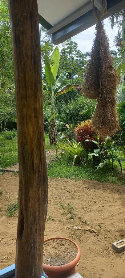 Casa Katharina Villa Cahuita Exterior photo